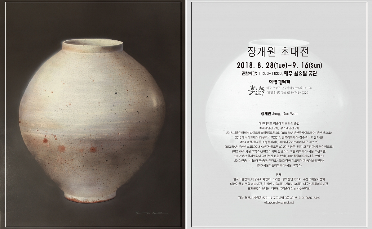 서양화가 장개원